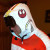 Profile picture of Gary Test Acct
